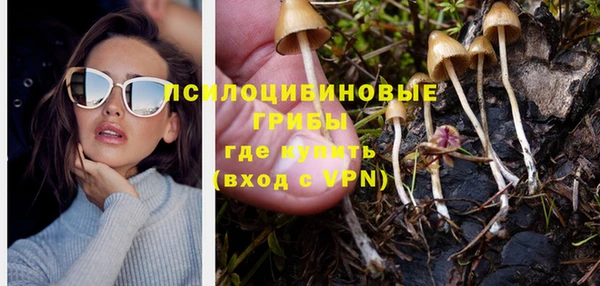 гашик Каменск-Шахтинский