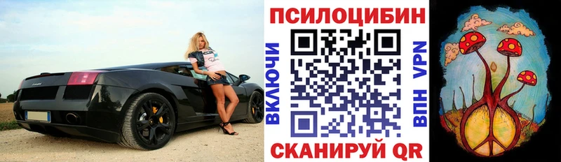 МЕГА   где купить наркоту  Ачинск  Псилоцибиновые грибы Psilocybe 